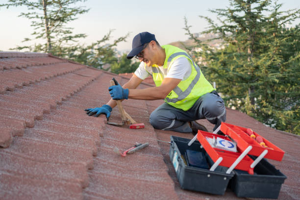 Best Shingle Roofing Installation  in Weed, CA