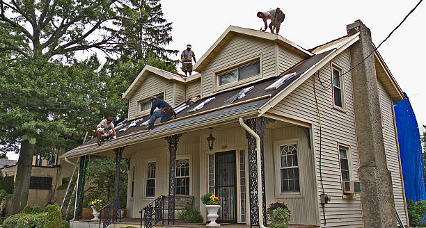 Best Roof Repair Services  in Weed, CA